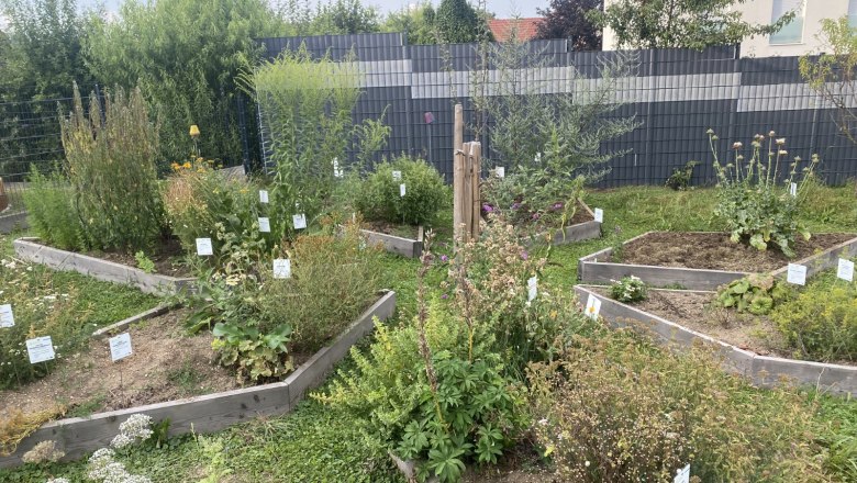 Kräuterstern, © Barbara Weilguni Kräuterstern, © Barbara Weilguni