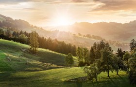 DSK_Sonntagberg_SK_99_3.jpg (1), © schwarz-koenig.at DSK_Sonntagberg_SK_99_3.jpg (1), © schwarz-koenig.at