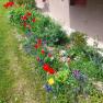 Garten, © Haus am Bach Garten, © Haus am Bach