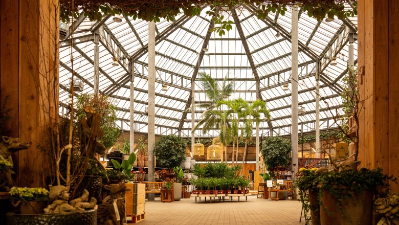 Palmenhaus, © STARKL, die mosttirolerin Palmenhaus, © STARKL, die mosttirolerin
