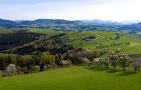 Fotopunkt Voralpenkreuz, © schwarz-koenig.at Fotopunkt Voralpenkreuz, © schwarz-koenig.at