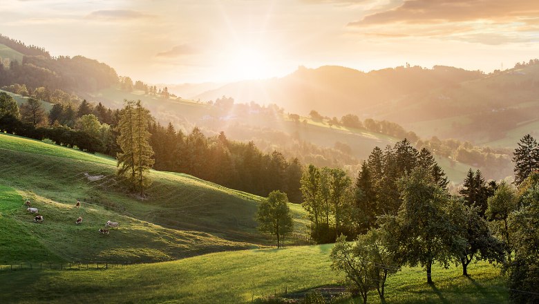 DSK_Sonntagberg_SK_99_3.jpg (1), © schwarz-koenig.at DSK_Sonntagberg_SK_99_3.jpg (1), © schwarz-koenig.at
