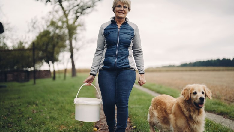 Pihringers Moststub'n, © Moststraße, dochbodnliacht Pihringers Moststub'n, © Moststraße, dochbodnliacht