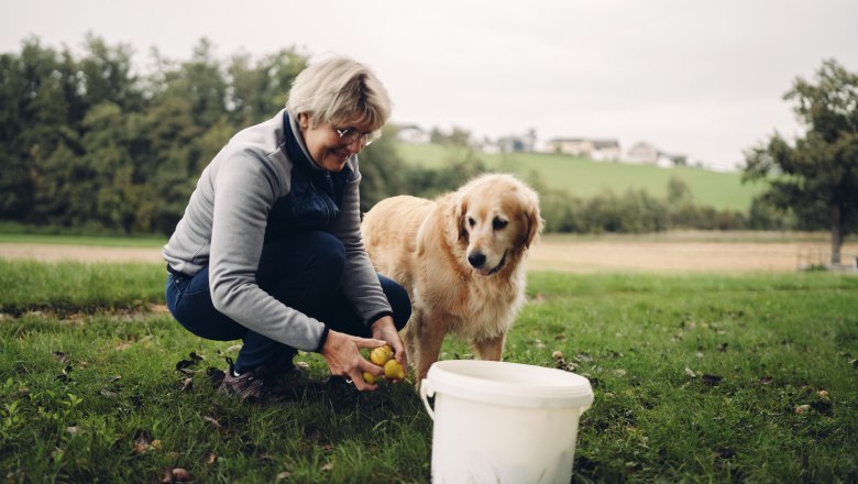 Pihringers Moststub'n, © Moststraße, dochbodnliacht Pihringers Moststub'n, © Moststraße, dochbodnliacht
