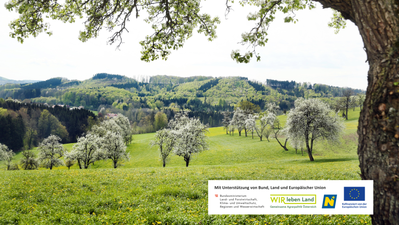 Urlaub an der Moststrasse, © weinfranz.at Urlaub an der Moststrasse, © weinfranz.at