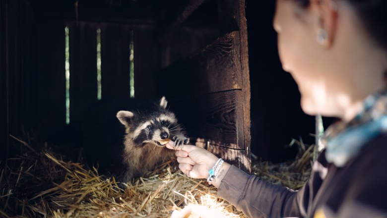 Tierpark Stadt Haag, © Moststraße, dochbodnliacht Tierpark Stadt Haag, © Moststraße, dochbodnliacht