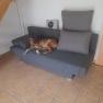 Wohnzimmer, © Haus am Bach Wohnzimmer, © Haus am Bach