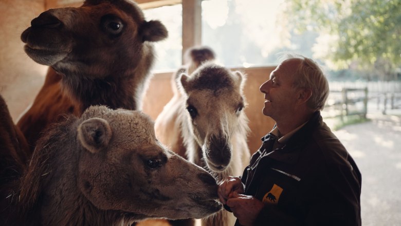Tierpark Stadt Haag, © Moststraße, dochbodnliacht Tierpark Stadt Haag, © Moststraße, dochbodnliacht