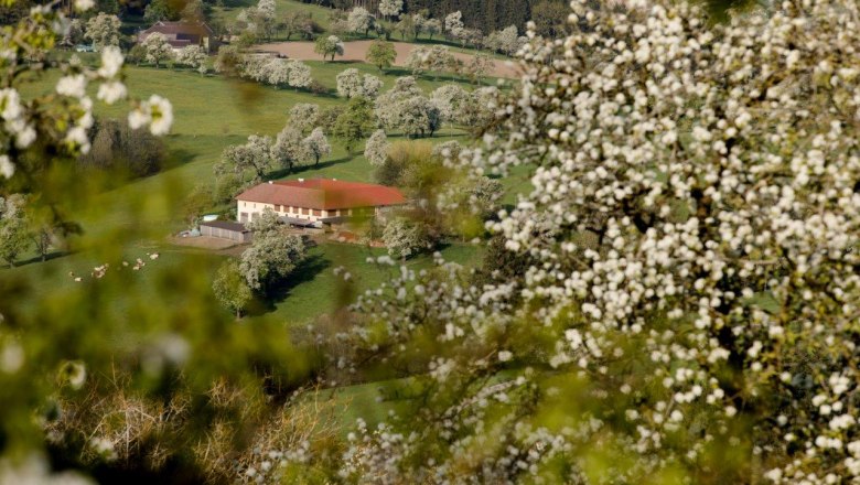 Fotopunkt Stift Seitenstetten, © schwarz-koenig.at Fotopunkt Stift Seitenstetten, © schwarz-koenig.at