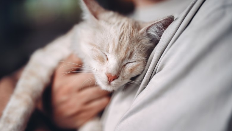 Mostheuriger Resch am Hörlesberg, © Moststraße, dochbodnliacht Mostheuriger Resch am Hörlesberg, © Moststraße, dochbodnliacht