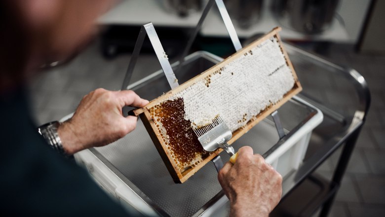 Die Zeidler, © Moststraße, dochbodnliacht Die Zeidler, © Moststraße, dochbodnliacht