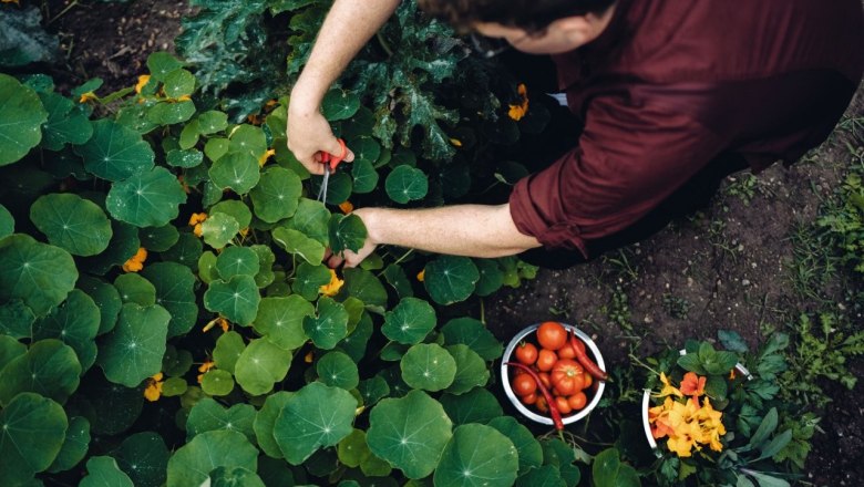 Gasthof Alpenblick, © Moststraße, dochbodnliacht Gasthof Alpenblick, © Moststraße, dochbodnliacht