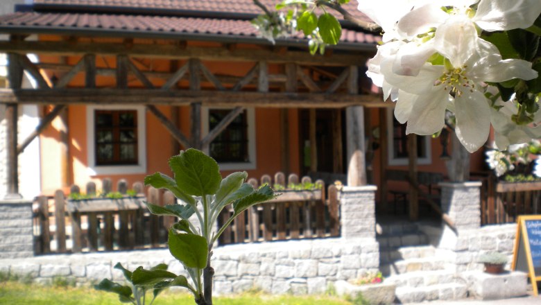 Mostheuriger Lettner, © Familie Lettner Blühender Apfelbaum vor einem traditionellen Gebäude mit Holzelementen.