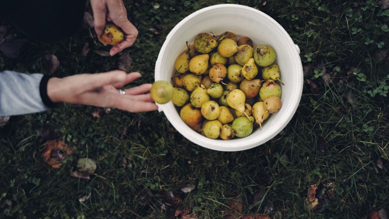 Pihringers Moststub'n, © Moststraße, dochbodnliacht Pihringers Moststub'n, © Moststraße, dochbodnliacht