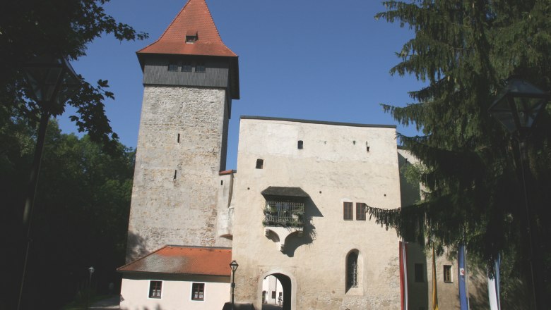 Schloss Ulmerfeld, © Stadtgemeinde Amstetten Schloss Ulmerfeld mit Turm und Eingangstor, umgeben von Bäumen.