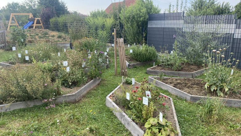 Kräuterstern, © Barbara Weilguni Kräuterstern, © Barbara Weilguni