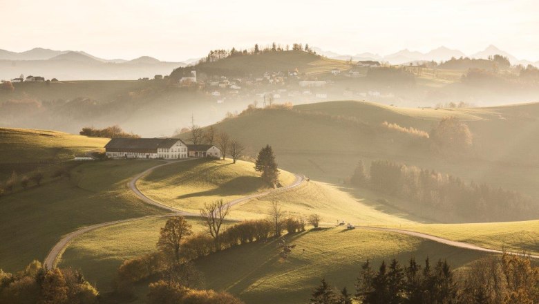 Mostviertler Höhenstraße, © schwarz-koenig.at Mostviertler Höhenstraße, © schwarz-koenig.at