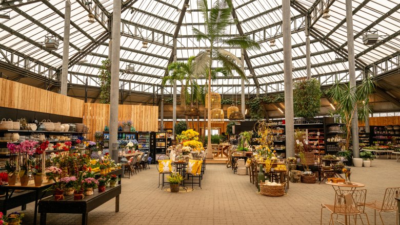 Palmenhaus, © STARKL, diemosttirolerin Palmenhaus, © STARKL, diemosttirolerin