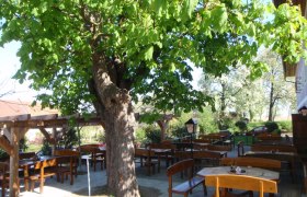 Gastgarten, © zVg Ein Gastgarten mit Holzbänken und Tischen unter einem großen Baum.