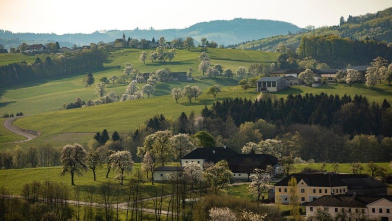 Fotopunkt Zeilinger, &copy; schwarz-koenig.at