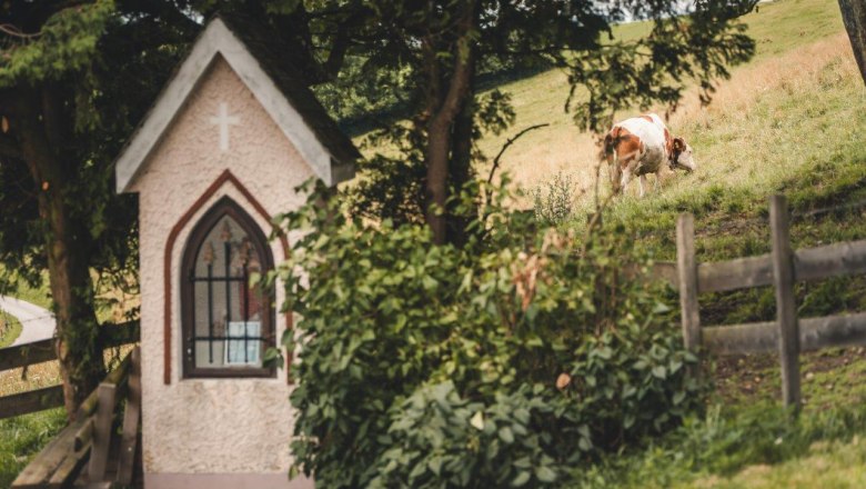 Mostheuriger Almhaus Hochkogel, &copy; Gerald Demolsky
