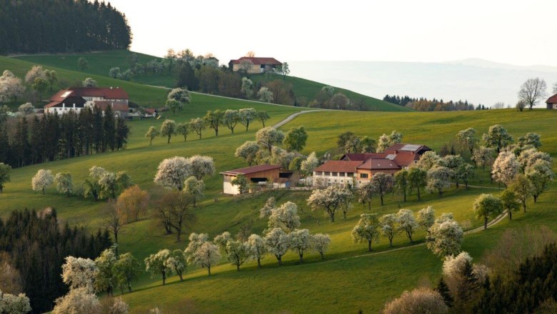 Fotopunkt St. Peter in der Au, &copy; schwarz-koenig.at