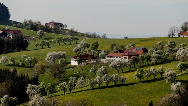 Fotopunkt St. Peter in der Au, &copy; schwarz-koenig.at
