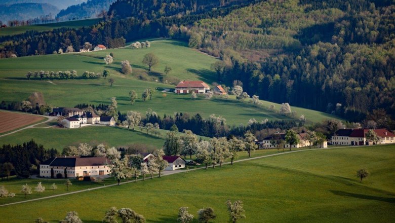 Fotopunkt Karl Lammerhuber Blick, &copy; schwarz-koenig.at