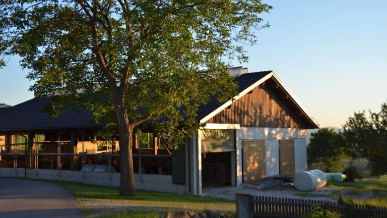 Milchliebe, Wegbauernhof, &copy; Helen Brandstetter