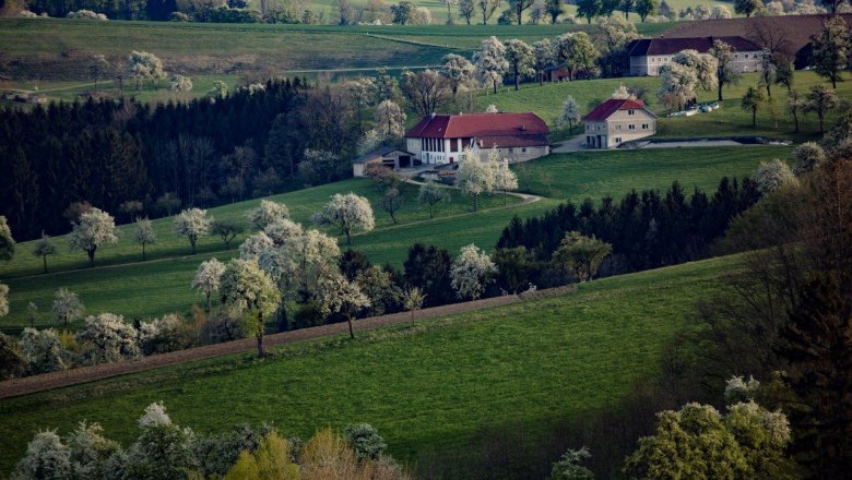 Fotopunkt Karl Lammerhuber Blick Südosten, © schwarz-koenig.at