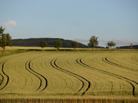 Weite Ackerflächen und saftige Wiesen säumen den Weg, © VSE, Rechberger Josef