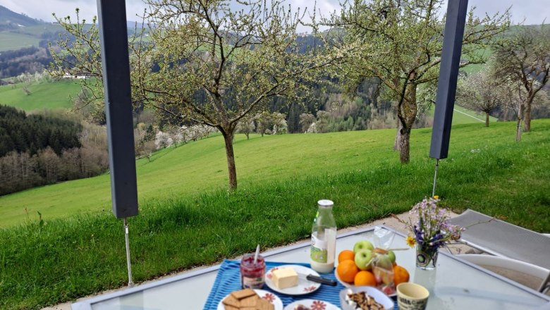 tiny-houses-birner-1, &copy; Sandra Gartlehner