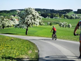 Kletzenbirn-Radroute, &copy; weinfranz.at