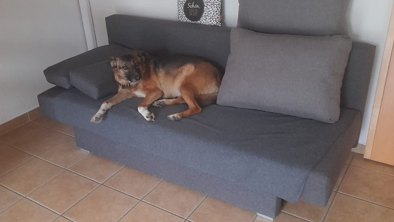 Wohnzimmer, &copy; Haus am Bach