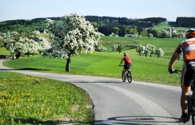 Kletzenbirn-Radroute, &copy; weinfranz.at