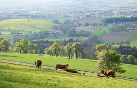 Ein schöner Ausblick, © Marktgemeinde Seitenstetten