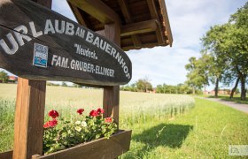 Hofzufahrt, &copy; Daniela Adelberger