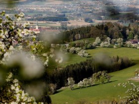 Fotopunkt Stift Seitenstetten, © schwarz-koenig.at