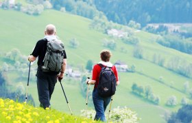 Wanderer auf Blumenwiese, © weinfranz.at