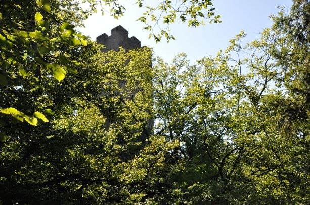 Turm hinter Bäumen im Sonnenschein, umgeben von dichtem Laub., © Marktgemeinde Neustadtl an der Donau