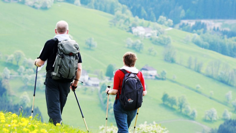 Zwei Wanderer mit Rucksäcken und Wanderstöcken auf einer grünen Wiese mit gelben Blumen, im Hintergrund eine hügelige Landschaft.