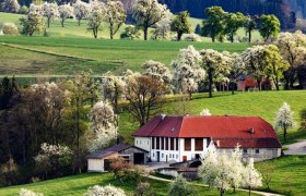 Fotopunkt Karl Lammerhuber Blick, &copy; schwarz-koenig.at