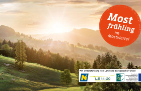 Sonnenuntergang an der Moststraße, © schwarz-koenig.at