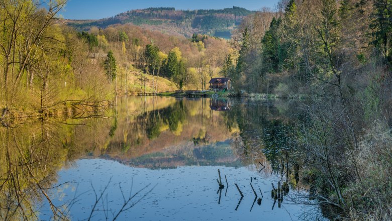 Ein ruhiger See mit Wald und Hügeln im Hintergrund, reflektiert im Wasser.