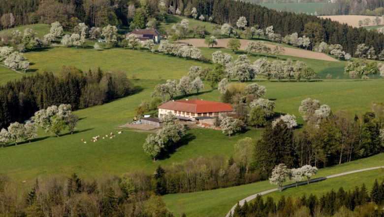 Fotopunkt Stift Seitenstetten, © schwarz-koenig.at