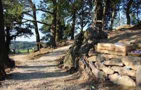 Waldweg mit bemalten Steinen und Holzkiste, umgeben von Bäumen., © Marktgemeinde Neustadtl/Donau