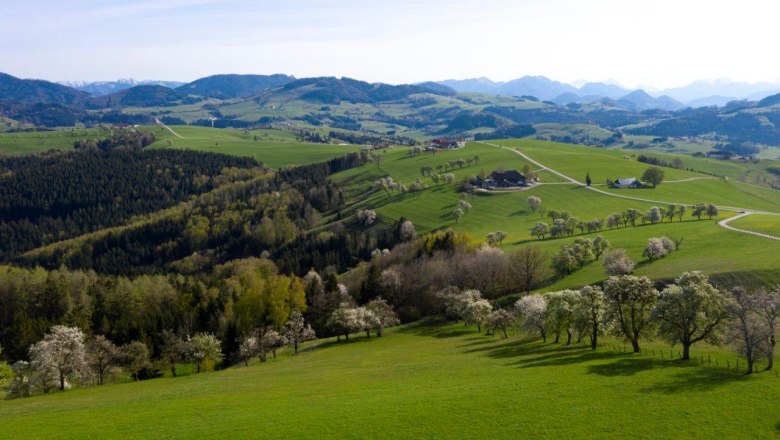 Fotopunkt Voralpenkreuz, © schwarz-koenig.at