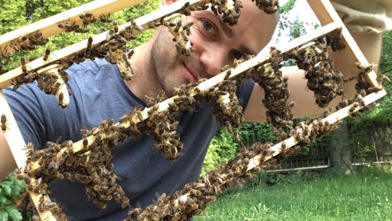 MOSTbee dein Imker, &copy; stoefchr.at