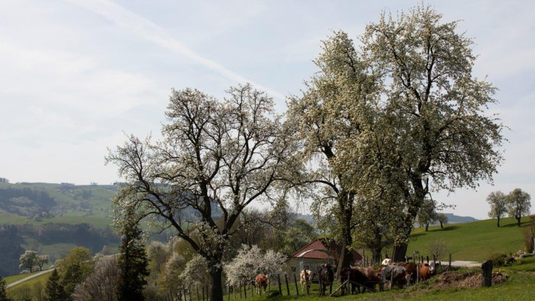 Fotopunkt Mostviertel, &copy; schwarz-koenig.at