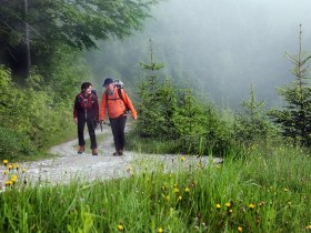 Wandern Opponitz, © Rudi Kefer